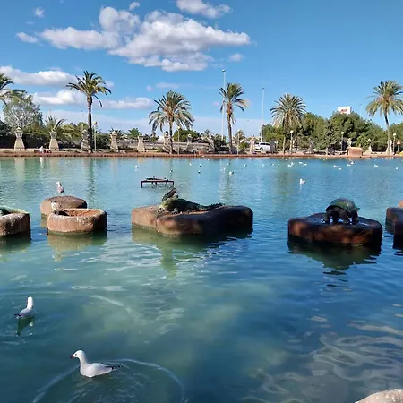 Spanish Harbor Торевьиа