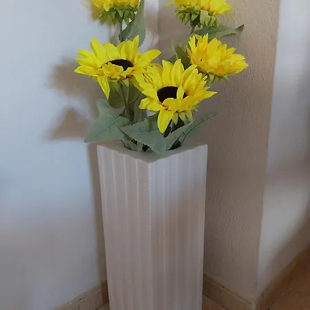 Spanish Harbor * Τορεβιέχα