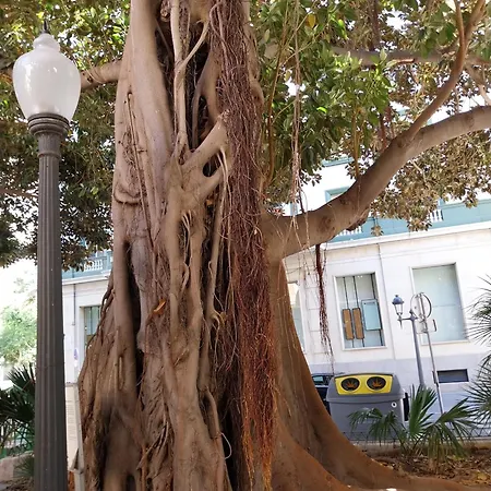 Spanish Harbor Διαμέρισμα *